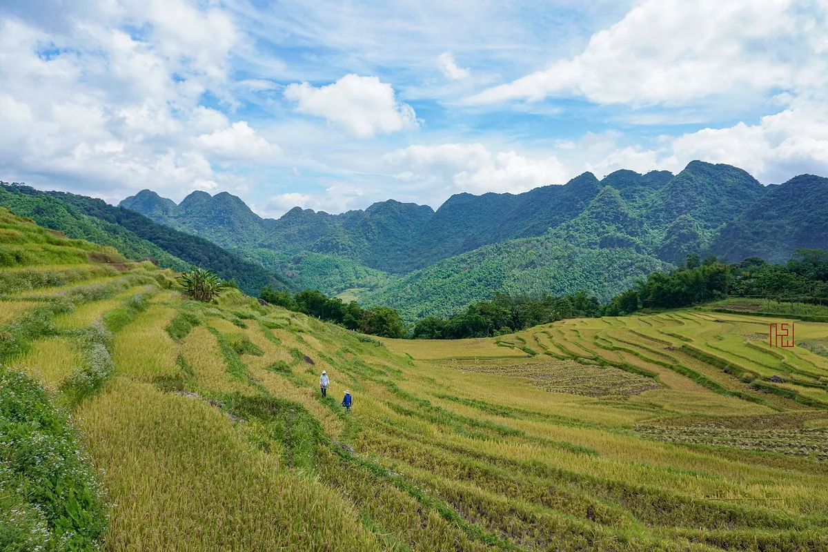 How Many Days in Pu Luong? An Honest Answer — Vietnam travel article
